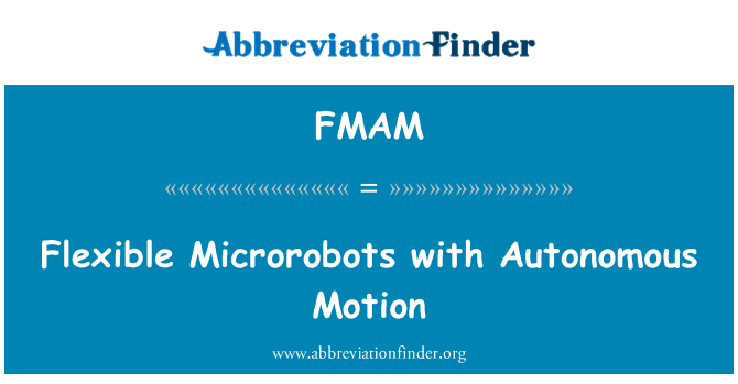 FMAM: Microrobot flessibile con movimento autonomo