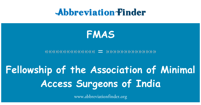 FMAS: インドの最小限のアクセスの外科学会の交わり