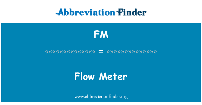 FM: फ्लो मीटर