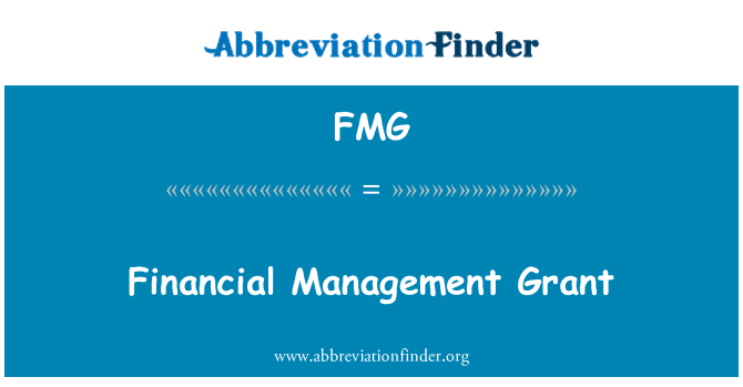 FMG: Grant finančního řízení