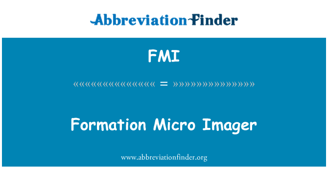 FMI: Formation Micro Imager