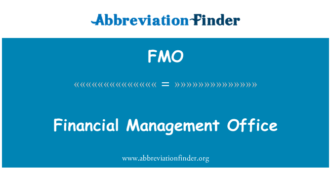 FMO: Finanzmanagement-Office