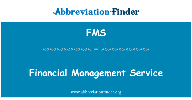 FMS: Finansiell ledelse Service