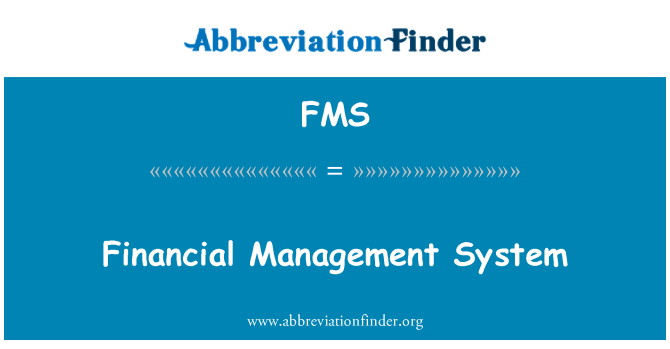 FMS: Finansų valdymo sistema