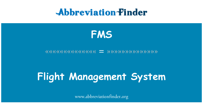 FMS: 비행 관리 시스템