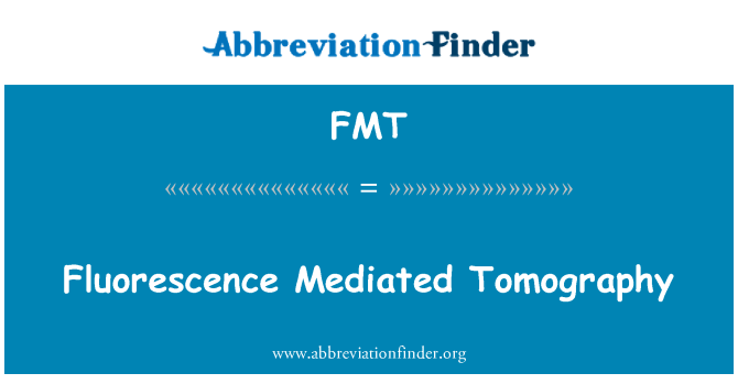 FMT: Fluoresensi dimediasi Tomography