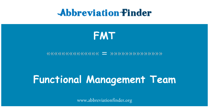 FMT: 功能管理團隊