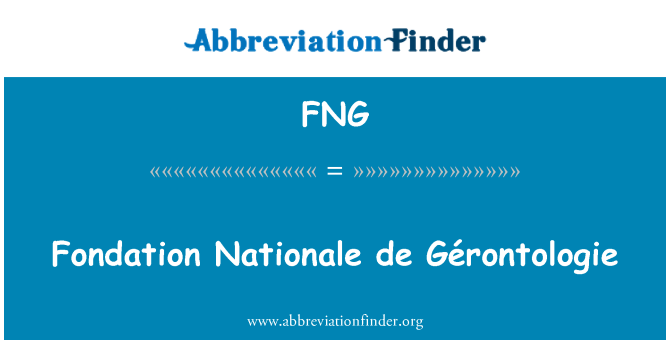 FNG: Fondation Nationale de Gérontologie