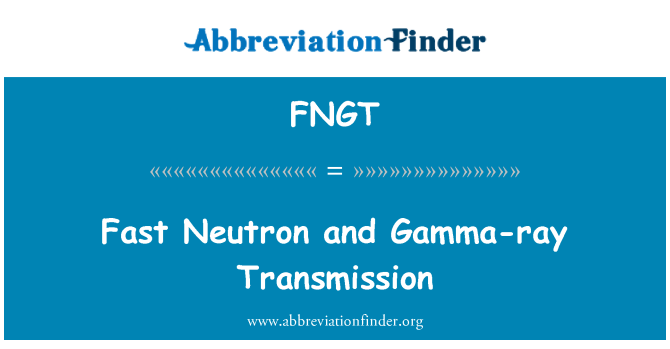 FNGT: 高速中性子と γ 線の透過