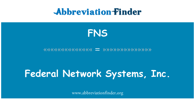 FNS: Federal Network Systems, Inc.