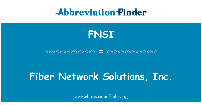 FNSI: 光纤网络解决方案，公司