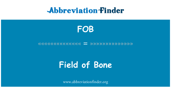 FOB: Gebied van Bone