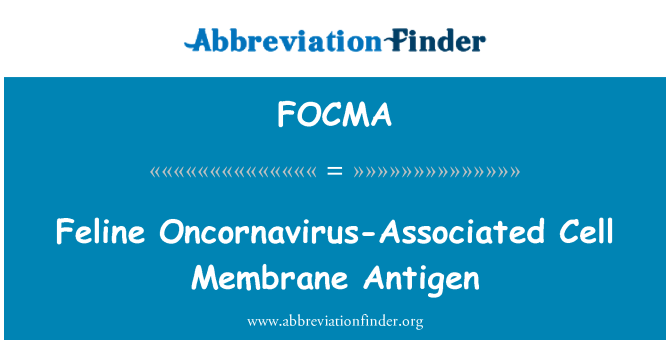 FOCMA: Antigen felí membrana cel·lular associats Oncornavirus