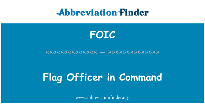 FOIC: Flagmanas komandoje