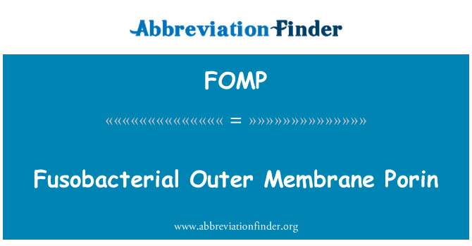 FOMP: Fusobacterial 外膜ポリン