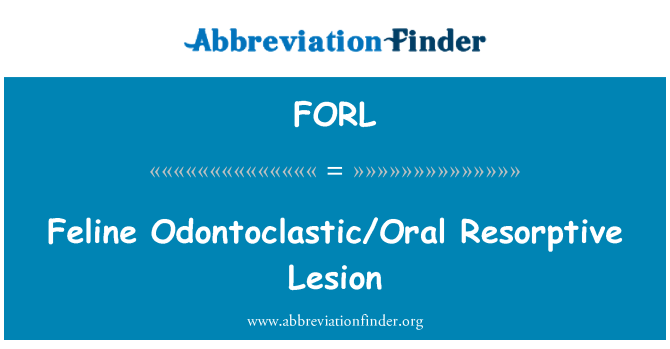 FORL: Féline blese Resorptive Odontoclastic/Oral