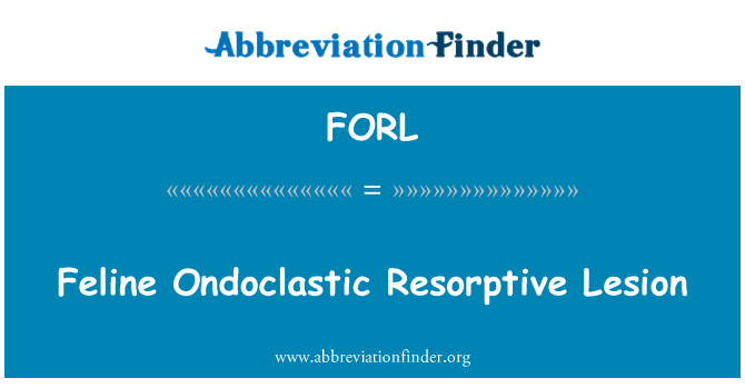 FORL: Ferita Resorptive feline Ondoclastic
