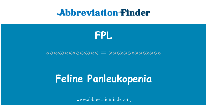 FPL: Kočičí Panleukopenia