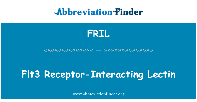 FRIL: Flt3 Récepteurs-Interaction Lectin
