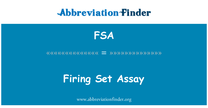 FSA: Feuern Set Assay