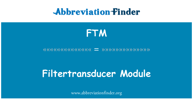 FTM: Filtertransducer modülü