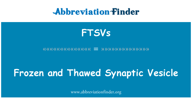 FTSVs: שלפוחית סינפטית מוקפאים ומופשרים
