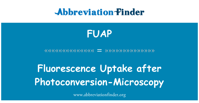 FUAP: Absorbţia fluorescență după Photoconversion-microscopie