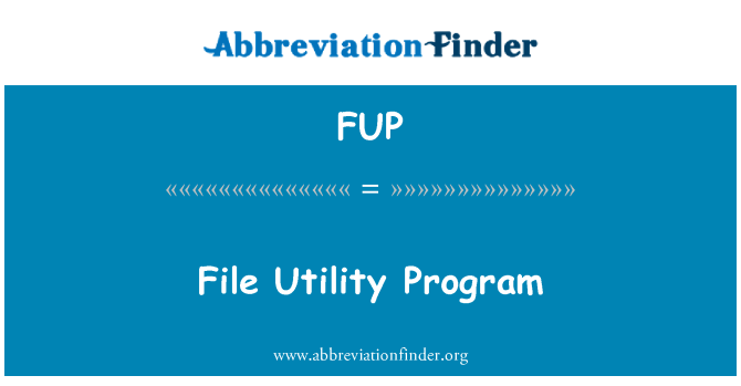 FUP: קובץ תוכנית השירות