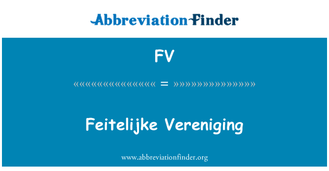 FV: Feitelijke Vereniging