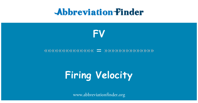 FV: Feuern Velocity