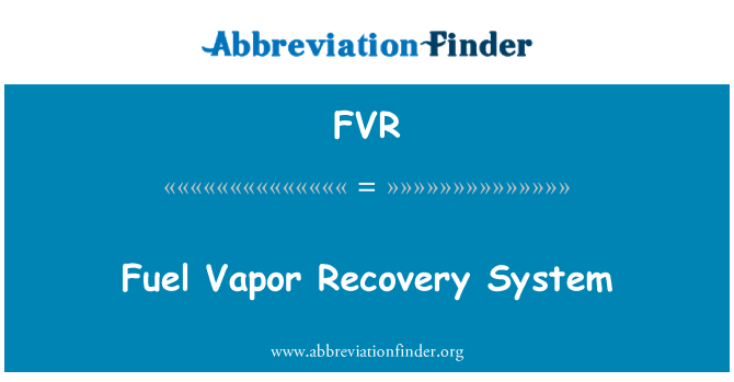FVR: 燃油蒸汽回收系統