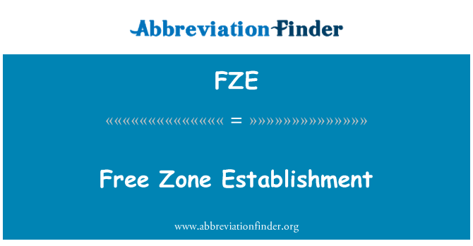 FZE: नि: शुल्क जोन प्रतिष्ठान