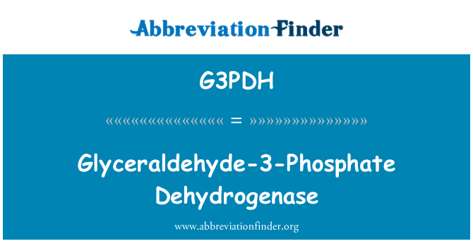 G3PDH: גליצראלדהיד-3-פוספט דהידרוגנאז