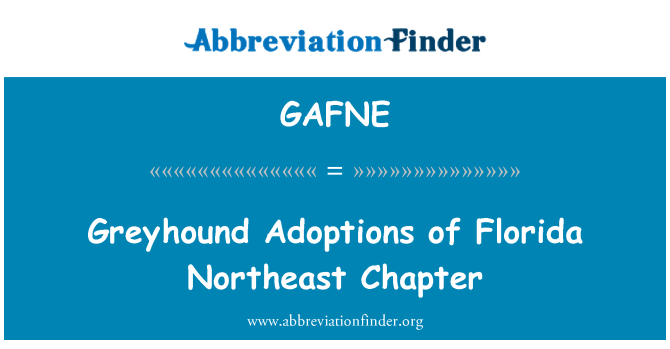 GAFNE: Windhund Adoptionen von Florida Nordost Kapitel