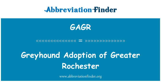 GAGR: Adopsi Greyhound Greater Rochester