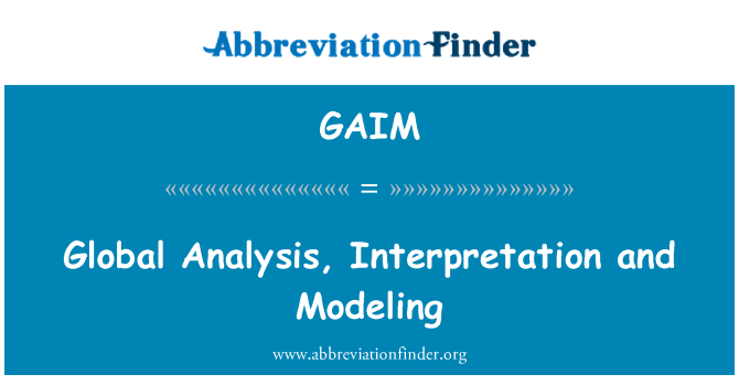 GAIM: Modélisation, interprétation et analyse globale