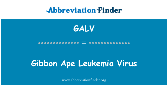 GALV: Gibbon Ape Leukemia Virus