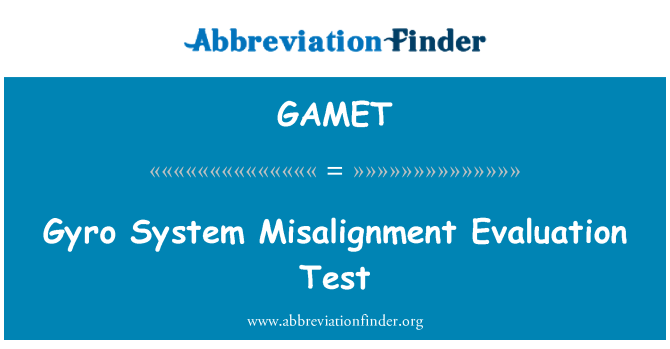 GAMET: Gyro System Misalignment evalueringen Test