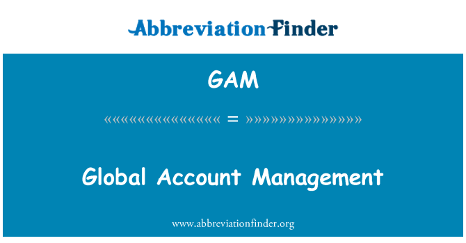 GAM: Globalno Account Management