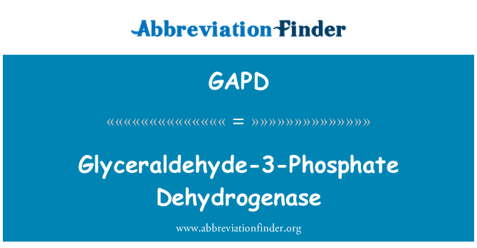 GAPD: Glyceraldehyde-3-ffosffad asyl