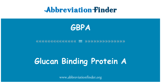 GBPA: Protein pengikat Glucan A