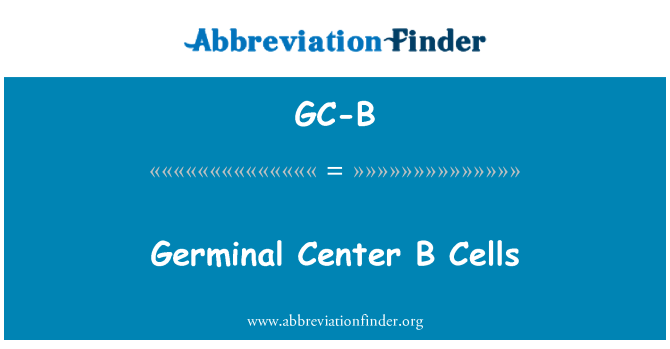 GC-B: Ganolfan germinal B celloedd