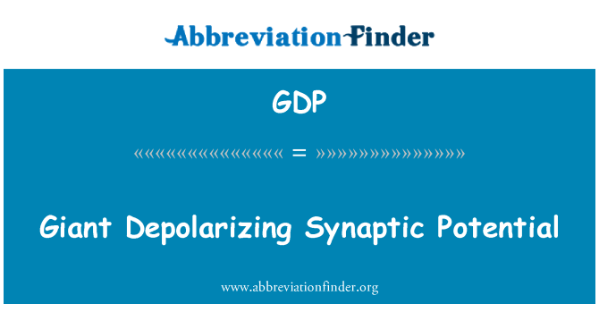 GDP: Gigante despolarización sináptica potencial