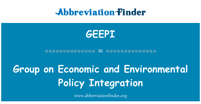 GEEPI: Group on Economic and Environmental Policy Integration
