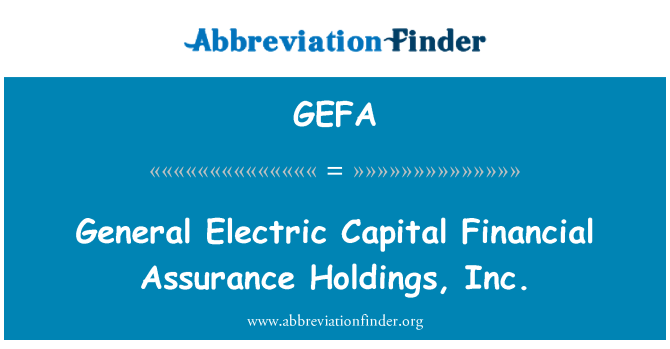 GEFA: General Electric Capital financiar asigurare Holdings, Inc.