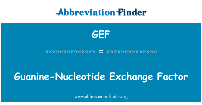 GEF: Guanin-nukleotid Exchange faktor