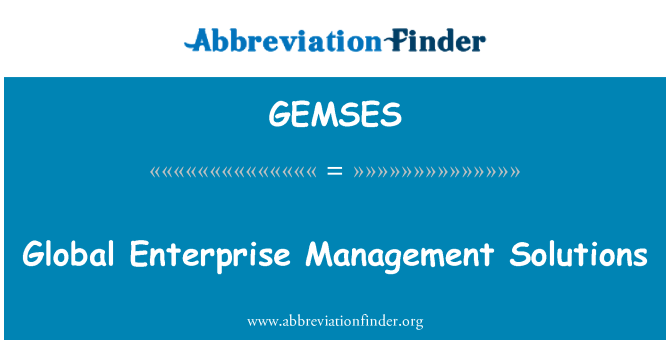GEMSES: Globální Enterprise Management řešení