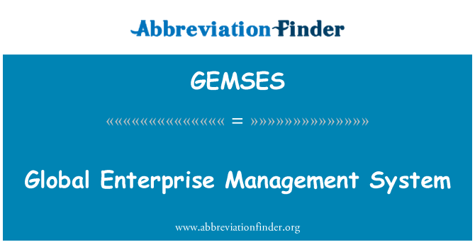 GEMSES: Globální Enterprise Management systém
