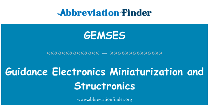 GEMSES: Guidance Electronics Miniaturization and Structronics