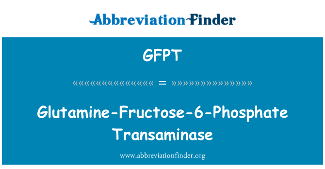 GFPT: גלוטמין-פרוקטוז-6-פוספט Transaminase